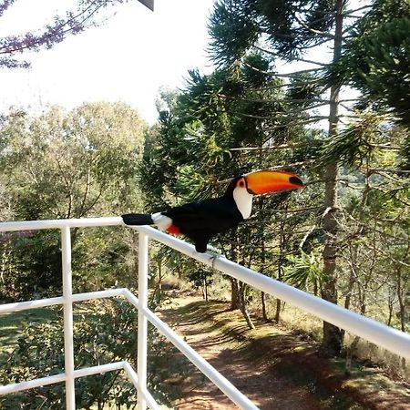 Abrigo Da Reserva Hotell Santo Antônio do Pinhal Exteriör bild