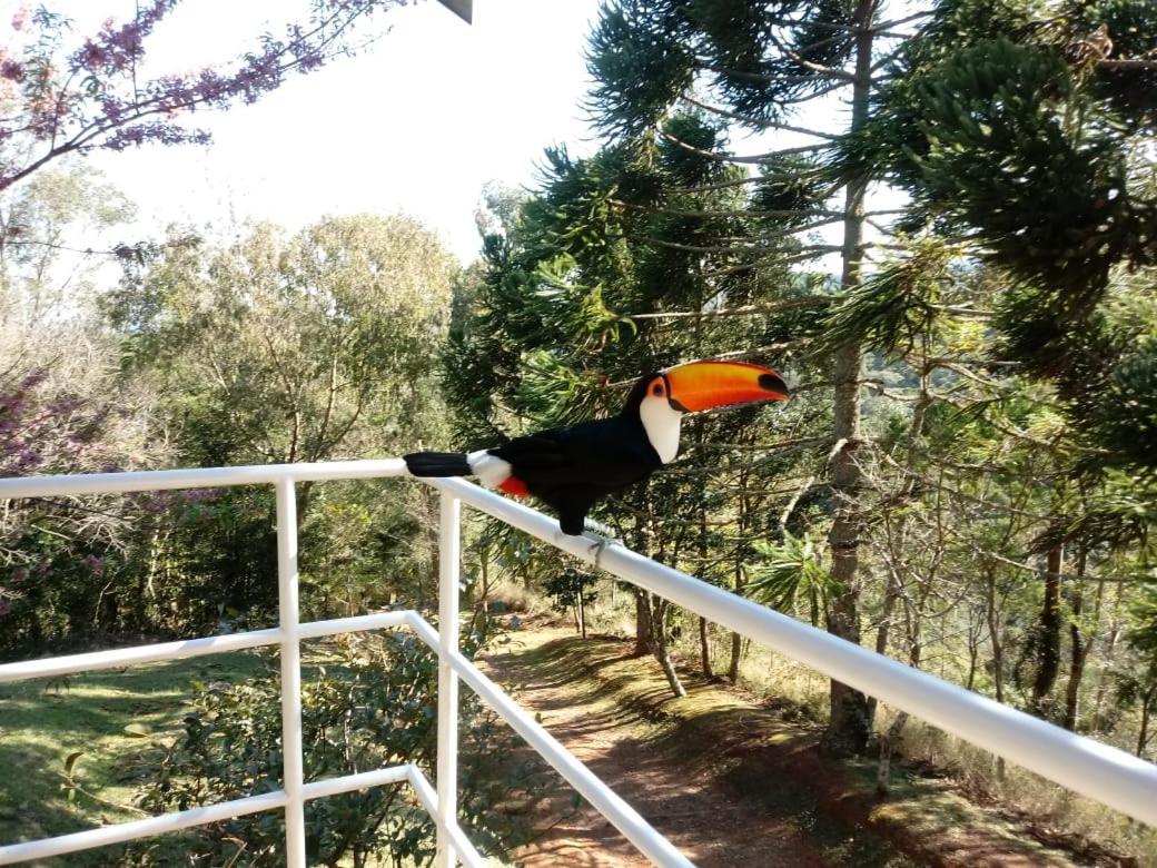 Abrigo Da Reserva Hotell Santo Antônio do Pinhal Exteriör bild